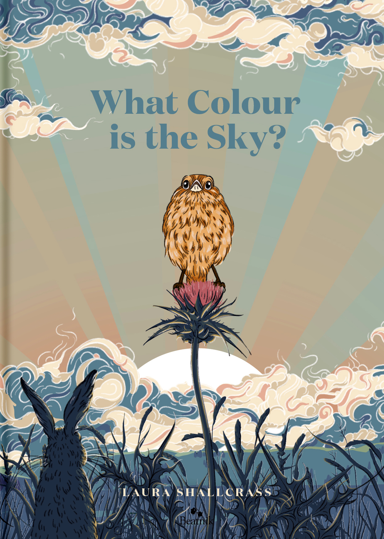 What Colour is the Sky Publishers Association of New Zealand Inc